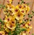 Verbascum 'Clementine'.jpg